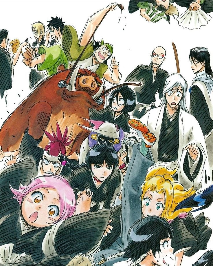 Bleach Gotei 13 Artwork